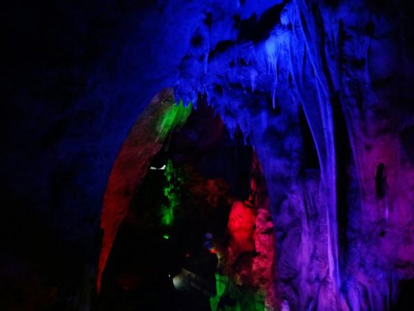 虫虫助手下载